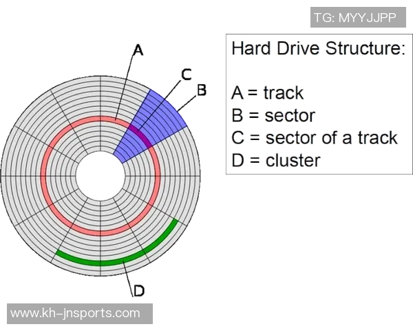 运动最新数据探索上海篮球队技术背后的秘密与辉煌成就